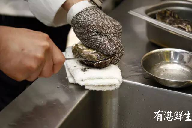 湛江生蠔批發|生蠔養殖場|湛江烤生蠔|凈化蠔|生蠔|官渡生蠔|刺身生蠔|鮮活生蠔|