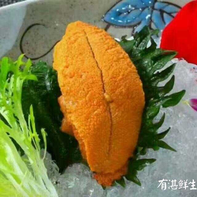 湛江生蠔批發