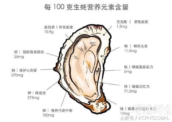 湛江生蠔批發|生蠔批發|生蠔養殖場|湛江烤生蠔|凈化蠔|生蠔|官渡生蠔|刺身生蠔|鮮活生蠔|