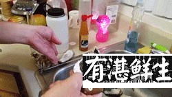 湛江生蠔批發|生蠔批發|生蠔養殖場|湛江烤生蠔|凈化蠔|生蠔|官渡生蠔|刺身生蠔|鮮活生蠔|