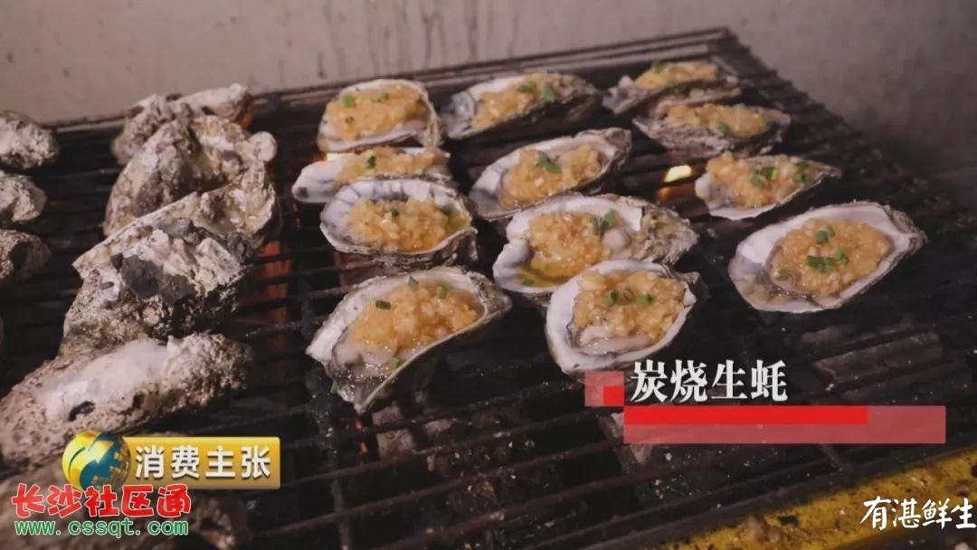 湛江生蠔批發|生蠔批發|生蠔養殖場|湛江烤生蠔|凈化蠔|生蠔|官渡生蠔|刺身生蠔|鮮活生蠔|